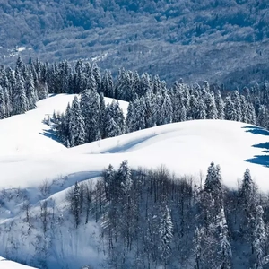 我的魅魔仆人第四集
